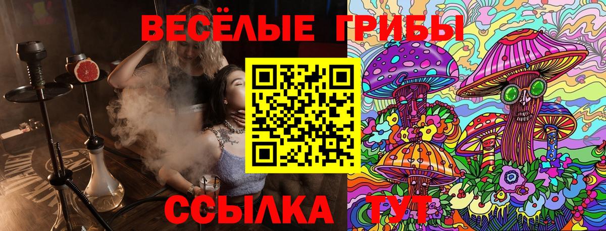 Псилоцибиновые грибы ЛСД Барнаул